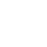 Long Term Leasing program